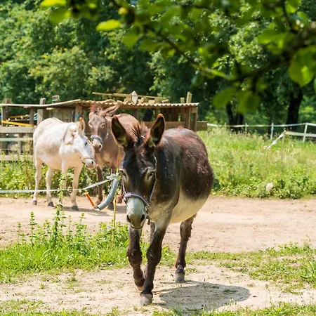Ostau Flor Casa de Férias *