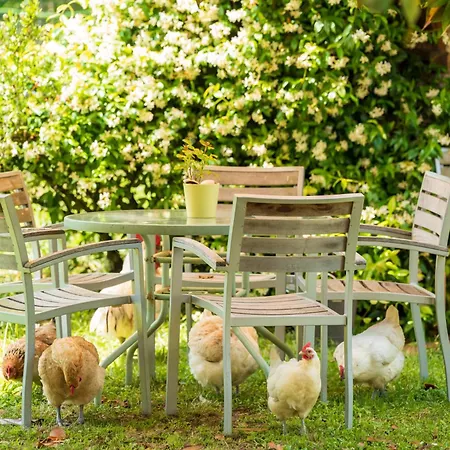 Ostau Flor Casa de Férias Estang