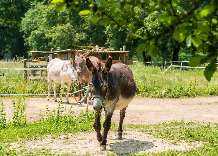 Ostau Flor Hébergement de vacances *