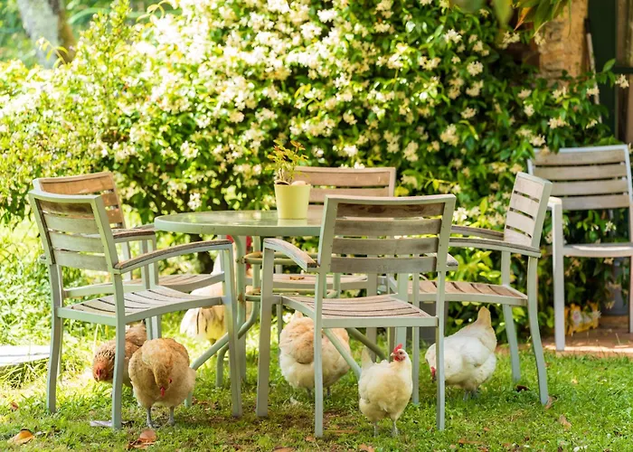 Ostau Flor Hébergement de vacances Estang